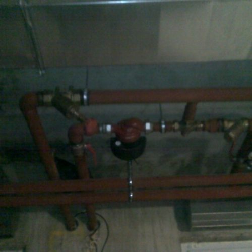fotogallery1293803371